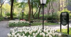 25 Tudor City Place, Unit 1806, Manhattan, NY