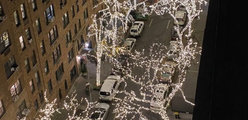 235 East 73rd Street, Unit 1G, Manhattan, NY