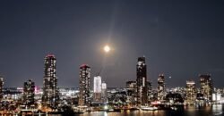 5 Tudor City Place, Unit 1534, Manhattan. NY