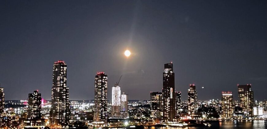 5 Tudor City Place, Unit 1534, Manhattan. NY