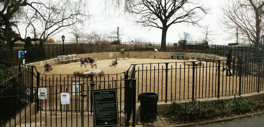 534-538 East 84th Street, Unit 5B, Manhattan, NY