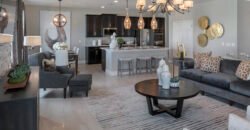 1328 Blarney St, Minneola, FL 34715, USA