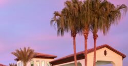 16910 Scuba Crest St, Wimauma, FL 33598, United States