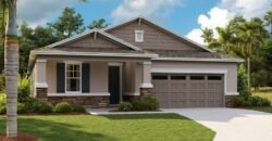 16301 Spring View Ct, Clermont, FL 34711, USA