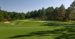 Hills, FL 34737, USA