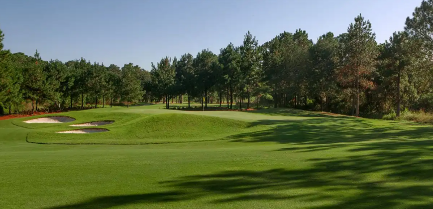 Hills, FL 34737, USA