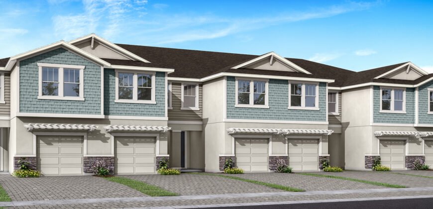 8346 Wildflower Glen Ave, Carrollwood, FL 33625, USA