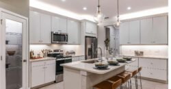 8346 Wildflower Glen Ave, Carrollwood, FL 33625, USA