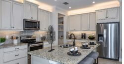 8346 Wildflower Glen Ave, Carrollwood, FL 33625, USA