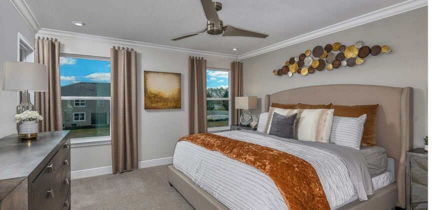 8346 Wildflower Glen Ave, Carrollwood, FL 33625, USA