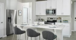 1123 Desert Candle Dr, Ocoee, FL 34761, USA