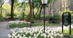 25 Tudor City Place, Unit 1806, Manhattan, NY