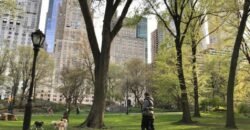 205 West 57th Street, Unit 2DE, Manhattan, NY