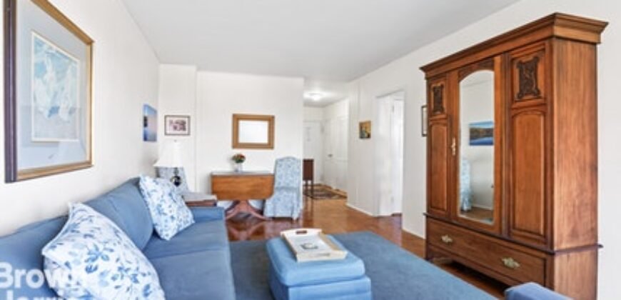 570 Grand Street, Unit H1103, Lower East Side, Manhattan, NY 10002