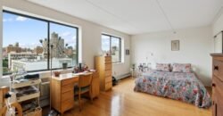 342 East 119th Street, Unit PHD, East Harlem, Manhattan, NY 10035