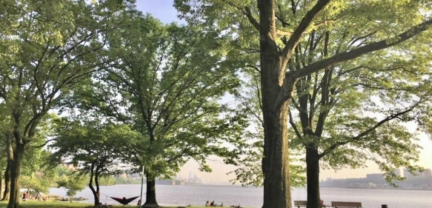 779 Riverside Drive, Unit B53, Washington Heights, Manhattan, NY 10032