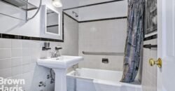 570 Grand Street, Unit H1103, Lower East Side, Manhattan, NY 10002