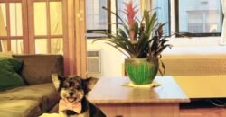 220 East 54th Street, Unit 8L, Manhattan, NY