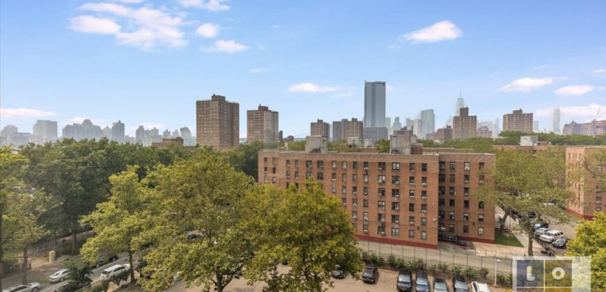 577 Grand Street, Unit F701, Lower East Side, Manhattan, NY 10002