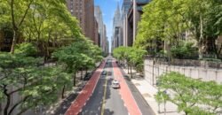 25 Tudor City Place, Unit 1006, Manhattan, NY