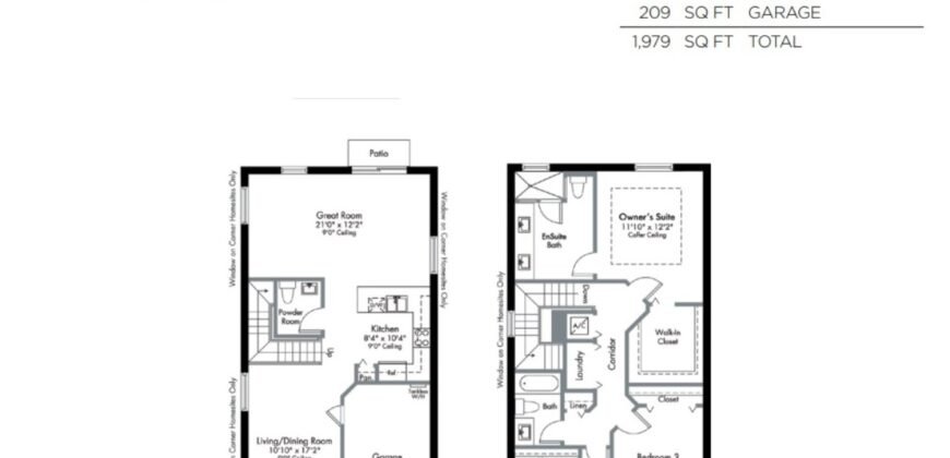 Pine Vista – Dijon